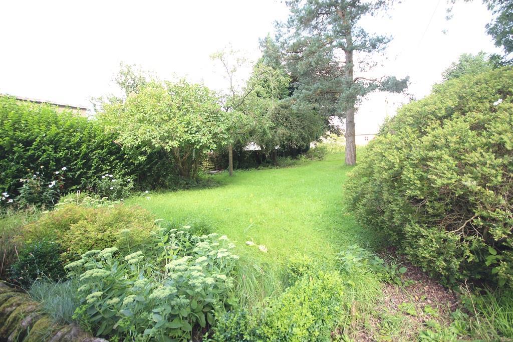Garden 3.jpg