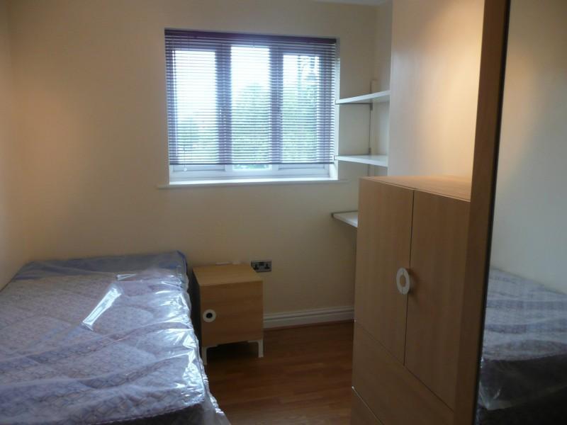 Photograph 5