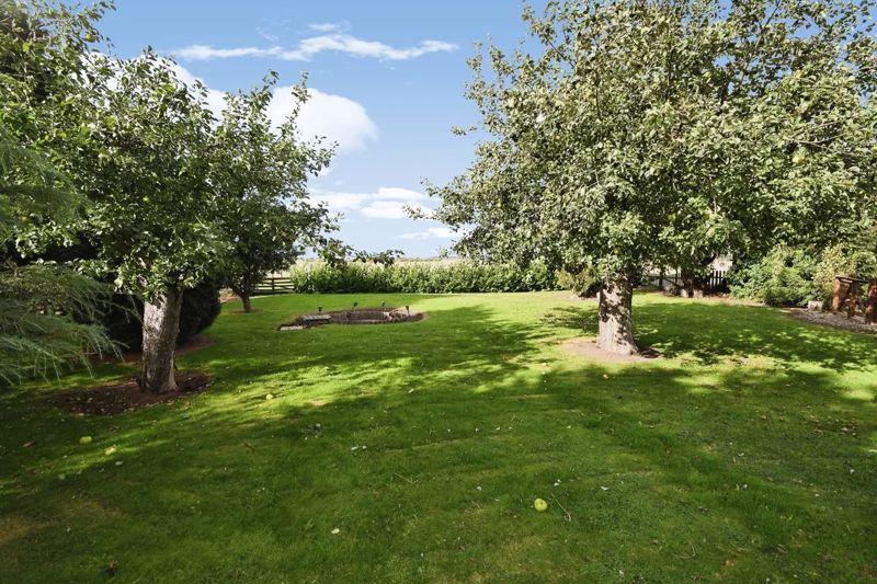 Enclosed Garden