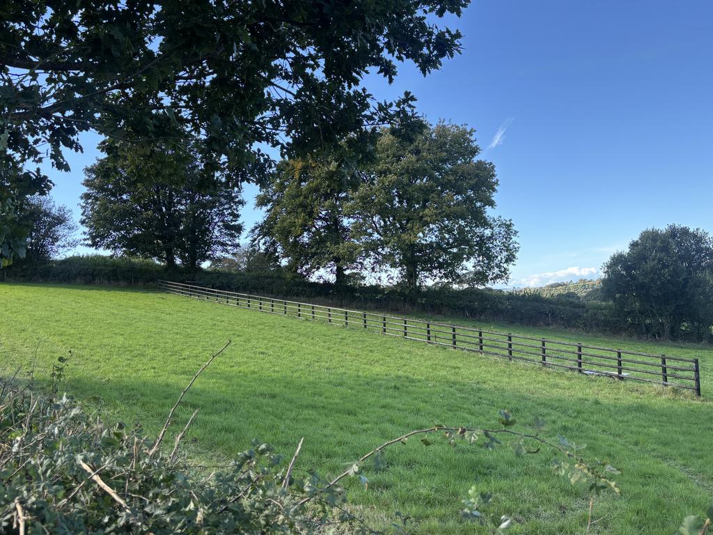 The land