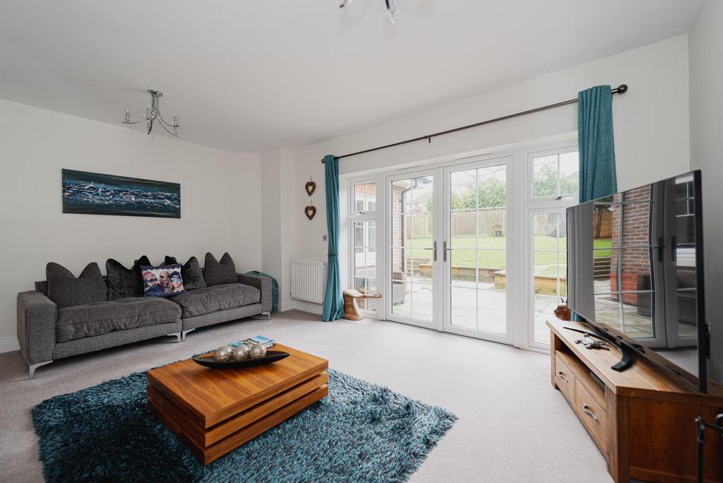 Online 19.jpg