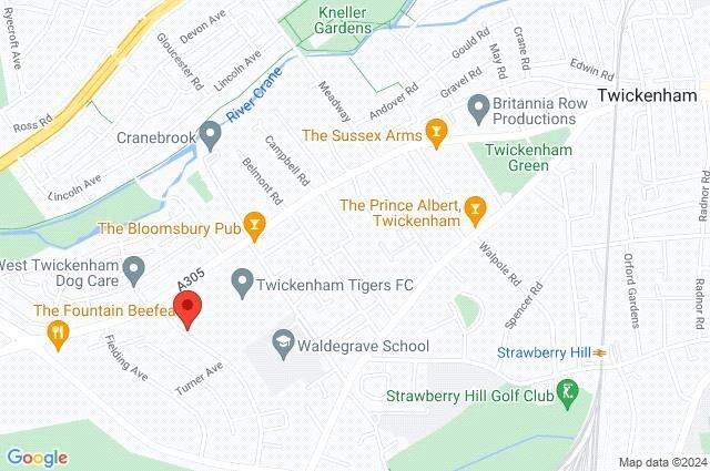Google Maps Image
