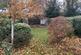 Gordon Road Garden .jpg