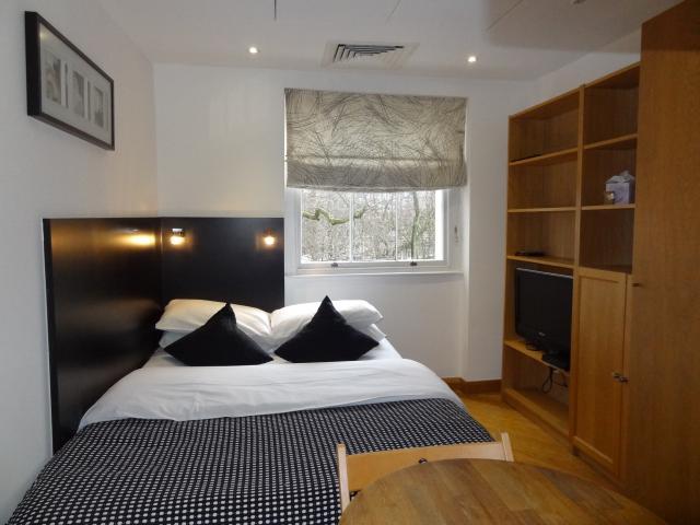 Studio to rent