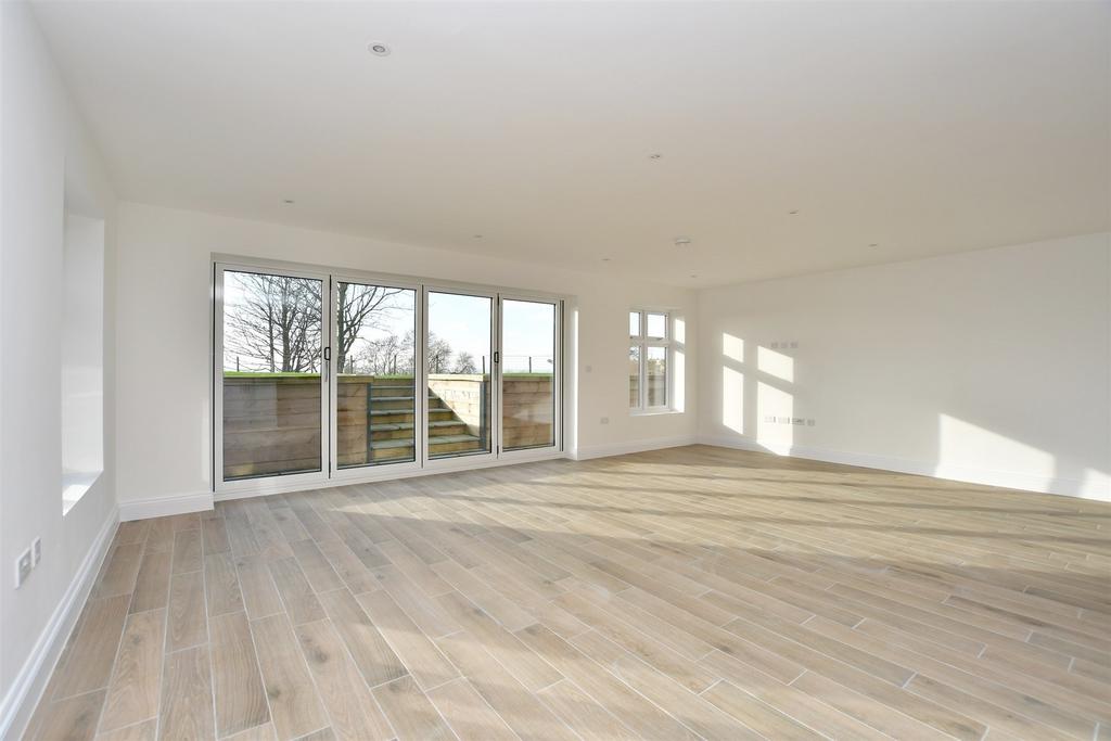 Kitchen/ Living Area