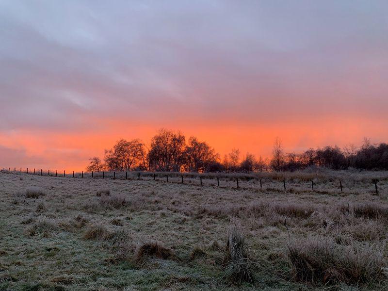 Dumbreck Nature...