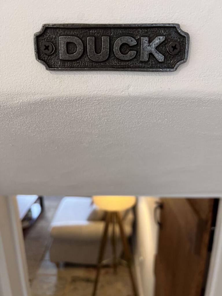 Duck
