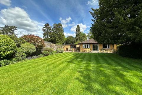 3 bedroom bungalow for sale, Homefield Road, Warlingham, Surrey, CR6 9HU