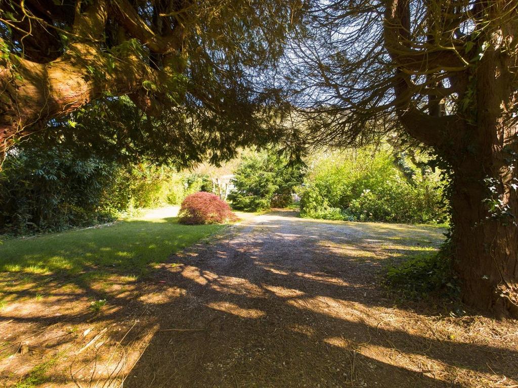 CAM01381 G0-PR0029-STILL022.jpg