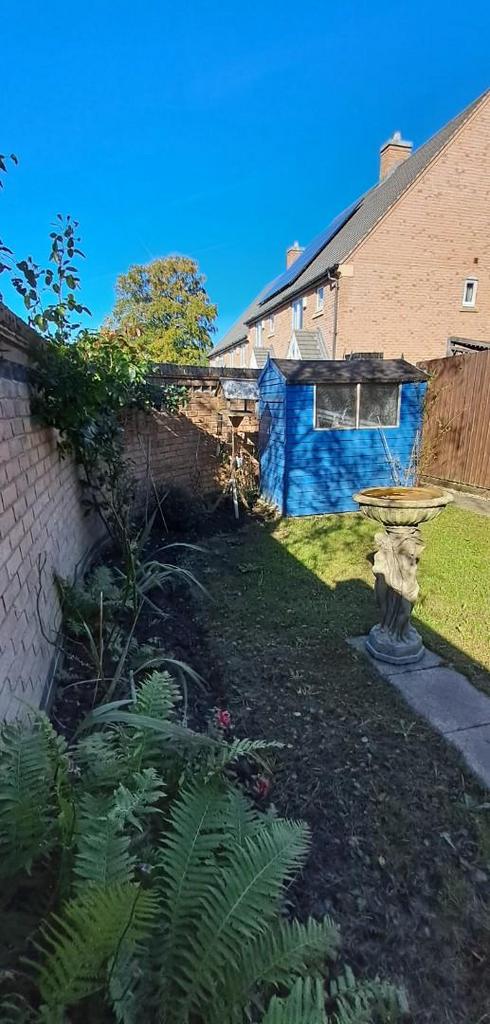 Recent garden shot .jpeg