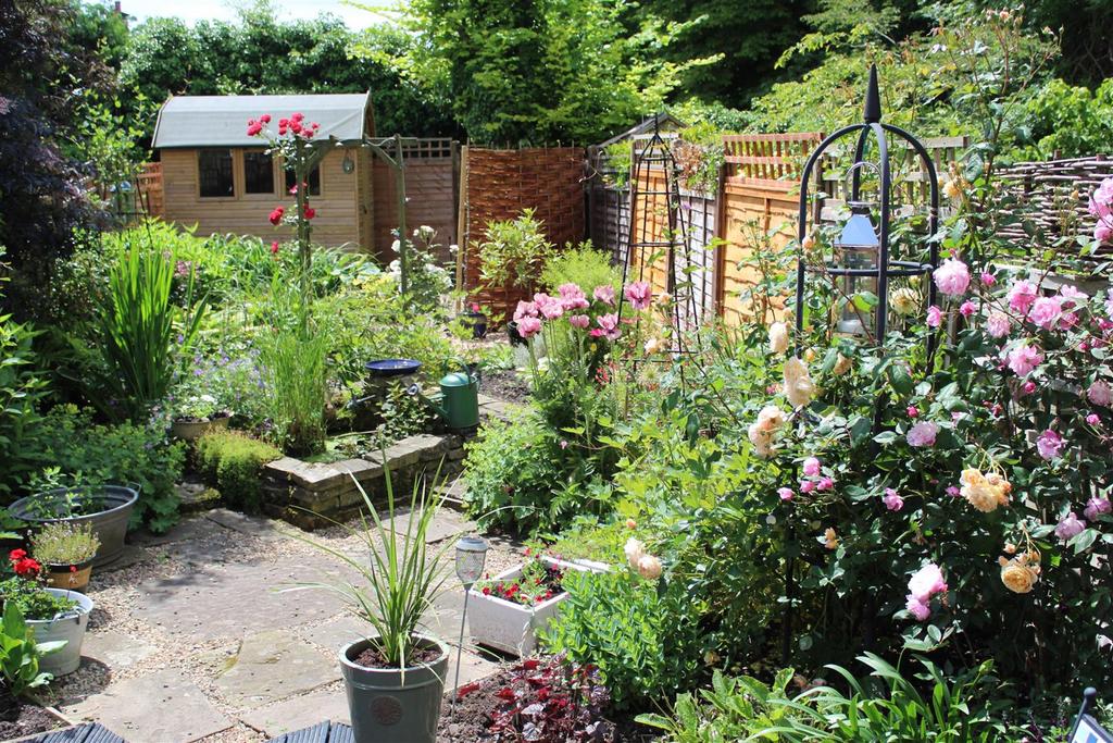 Garden in summer.jpeg