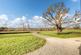 Landscaped Grounds