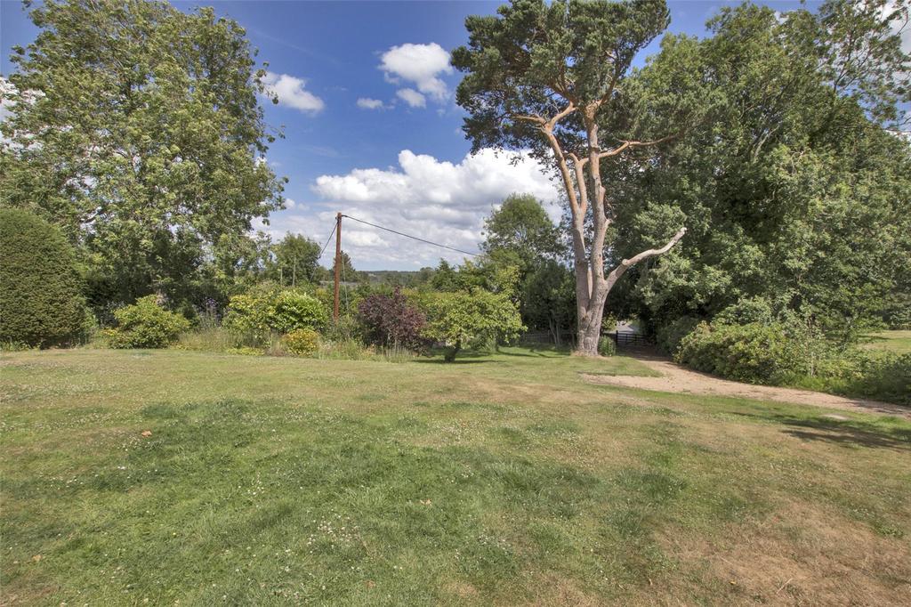 Rear Gardens