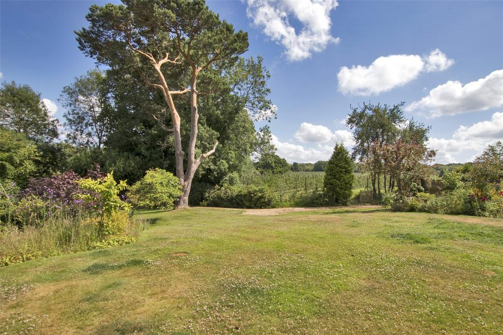 Rear Gardens