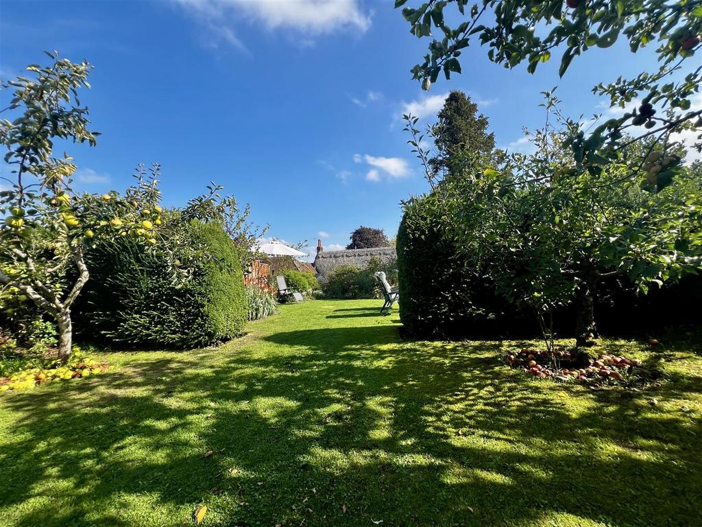 Garden 2