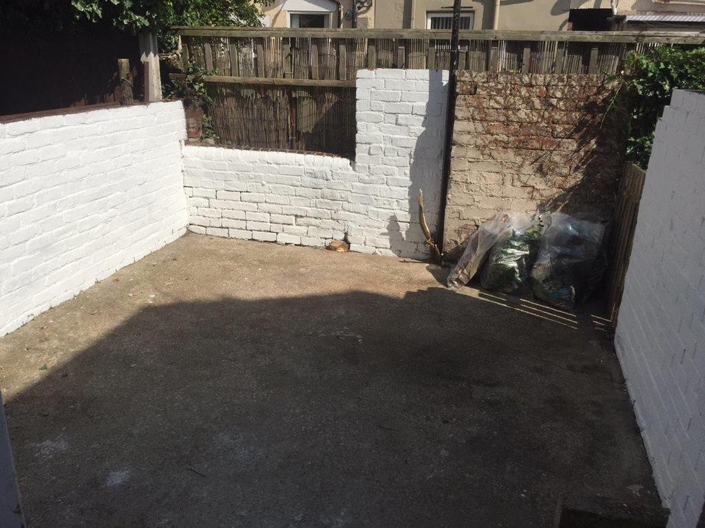 Yard.jpg