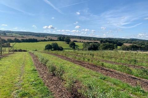 Land for sale, Land at Burrows Lea, Hook Lane, Shere, Guildford