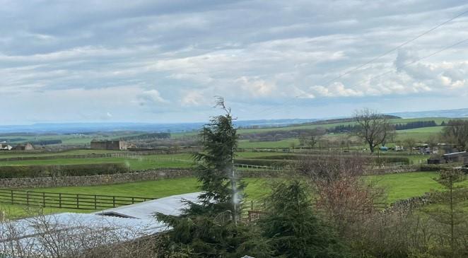 View.jpg