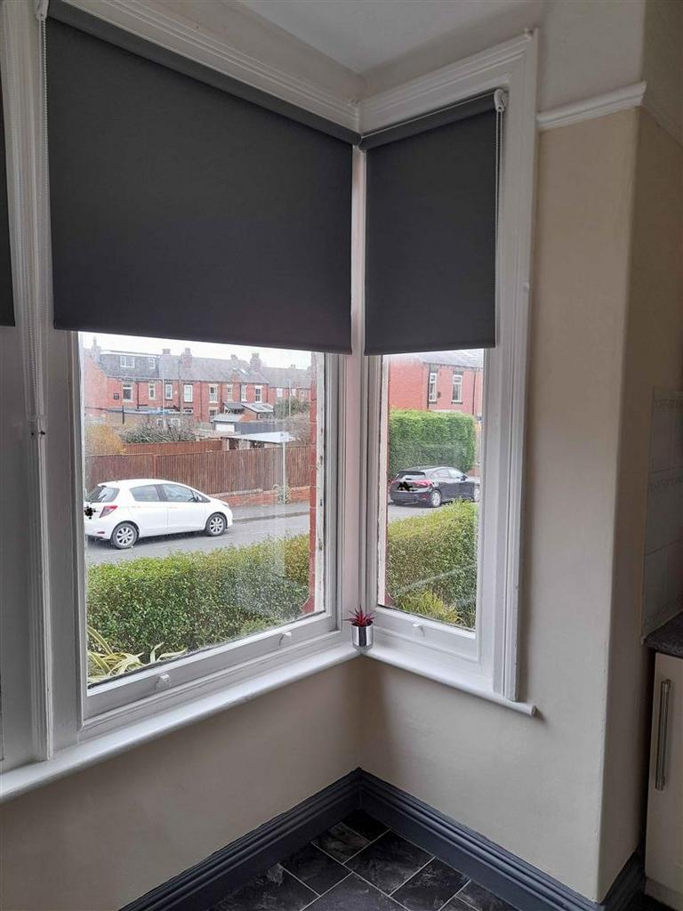 Kitchen windows.jpg