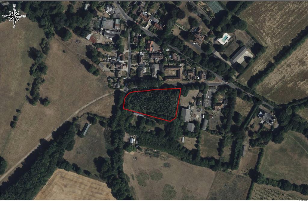 Fir Tree Plantation, Hogbens Hill, Selling, Kent Land for sale - £25,000