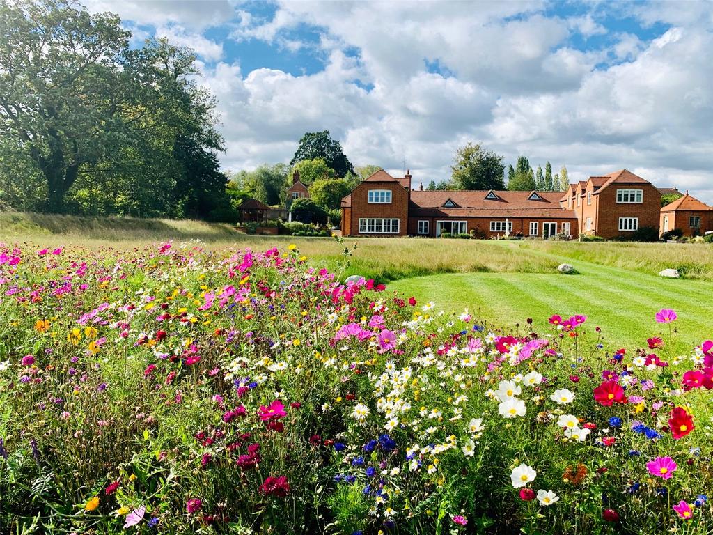 Wild Flower Meadows