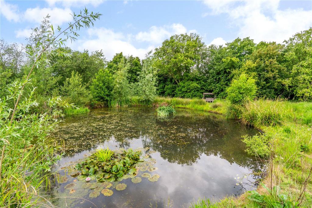Wildlife Pond