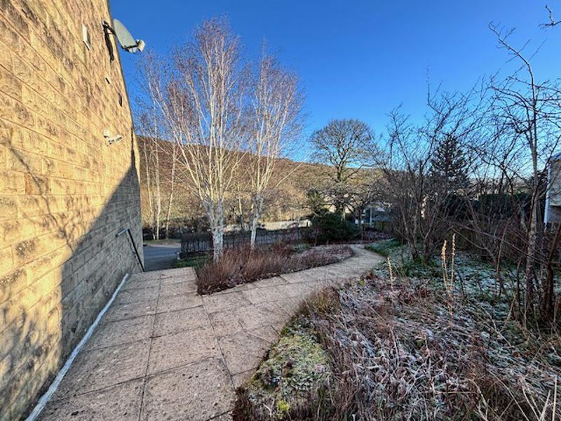 Rear Patio