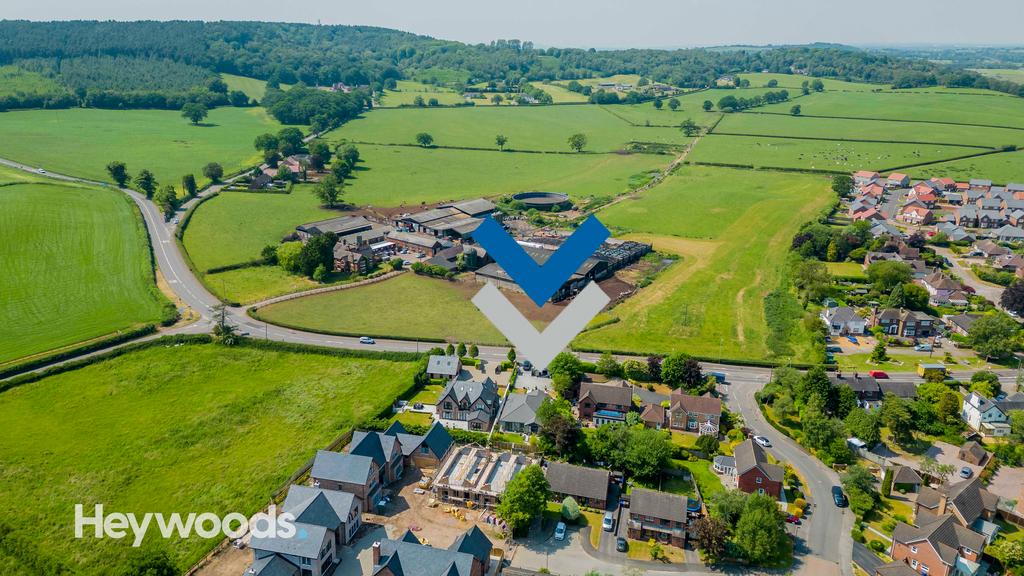 20230613-DJI 0348 - Copy