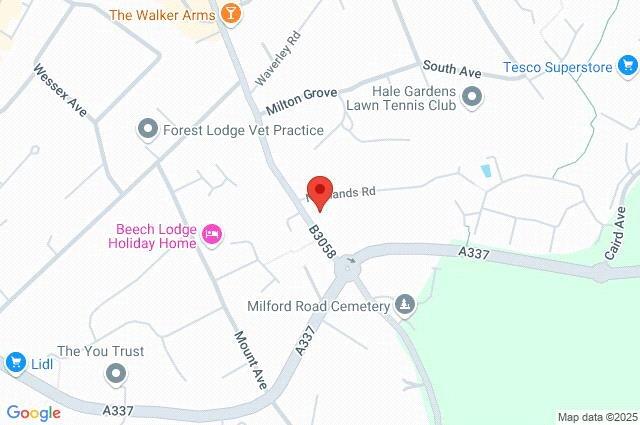 Google Maps Image