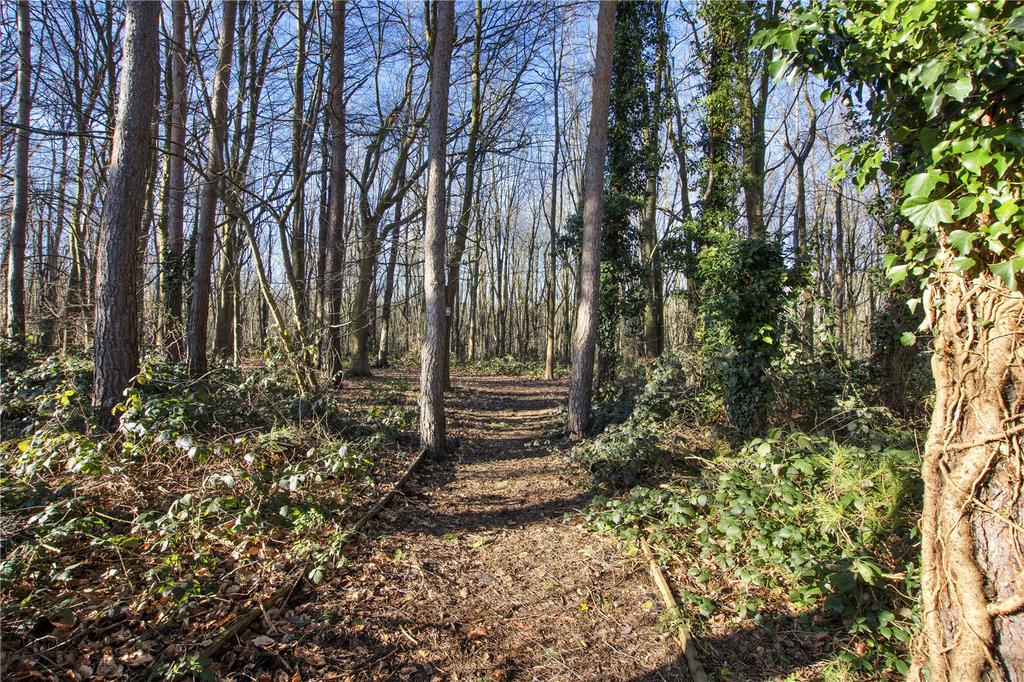 Woodland To Front