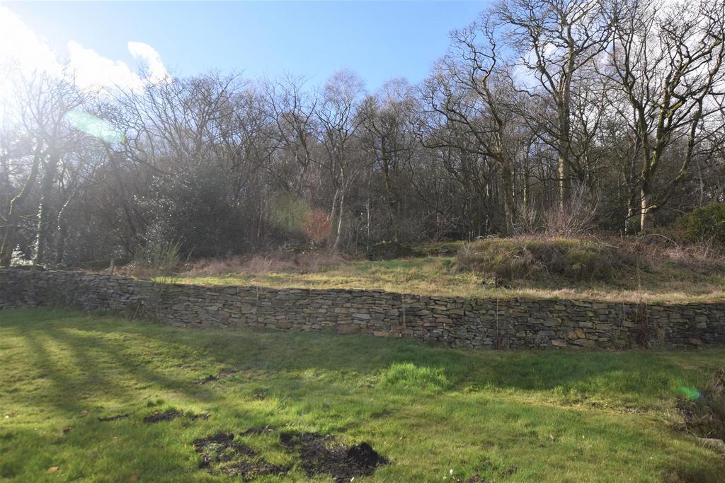 Holly Bank Garden 4.jpg
