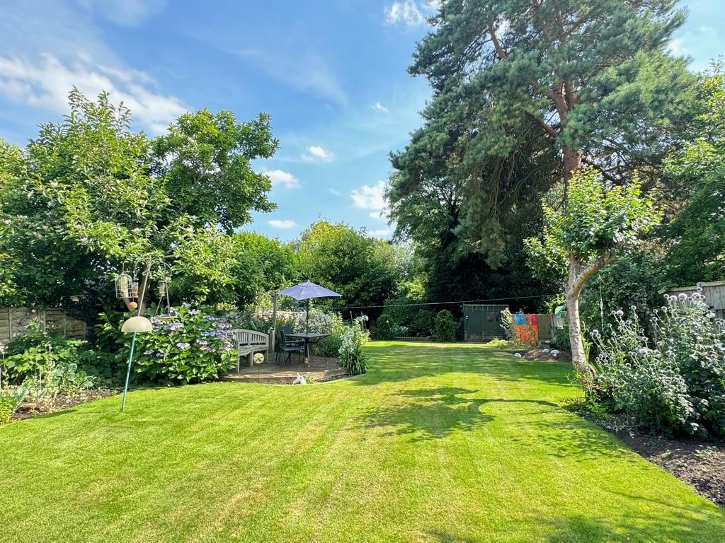 July garden 3