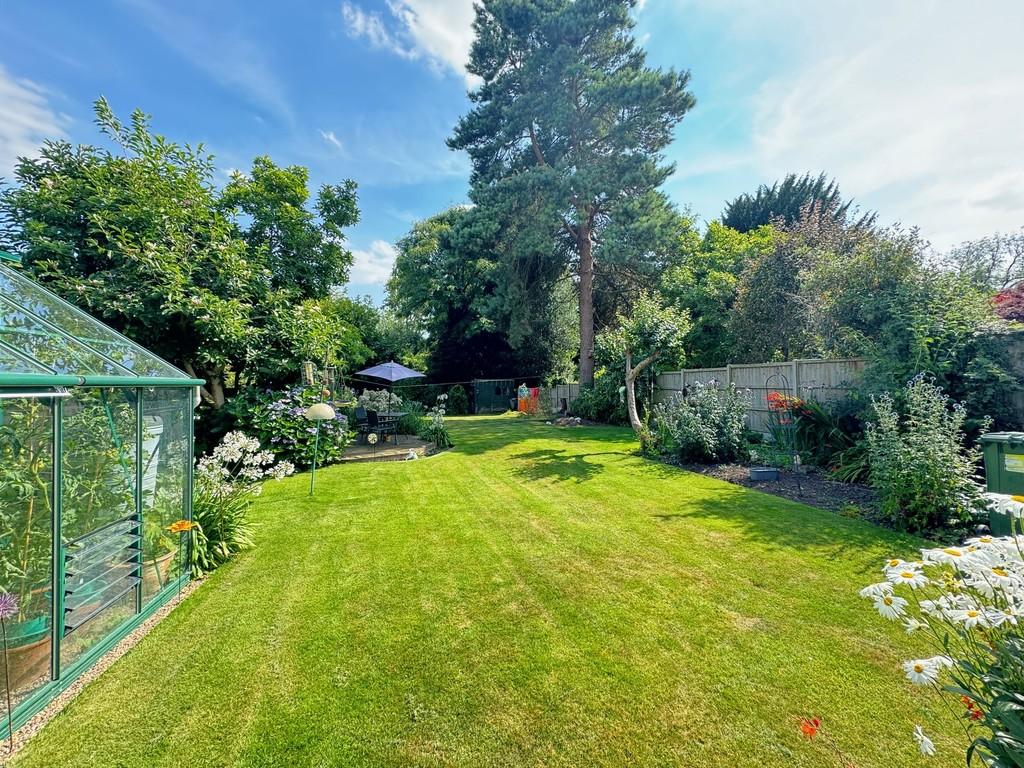 July garden