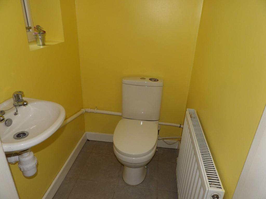 Photograph 6