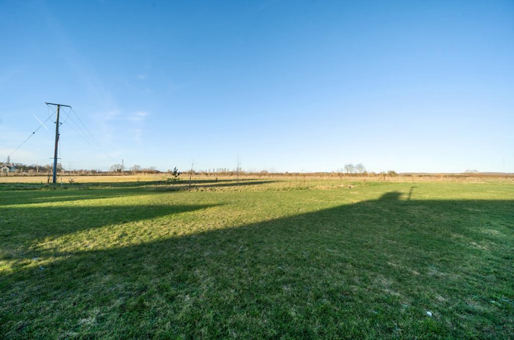 Communal Field