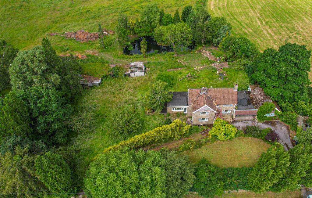 DJI 0030.jpg