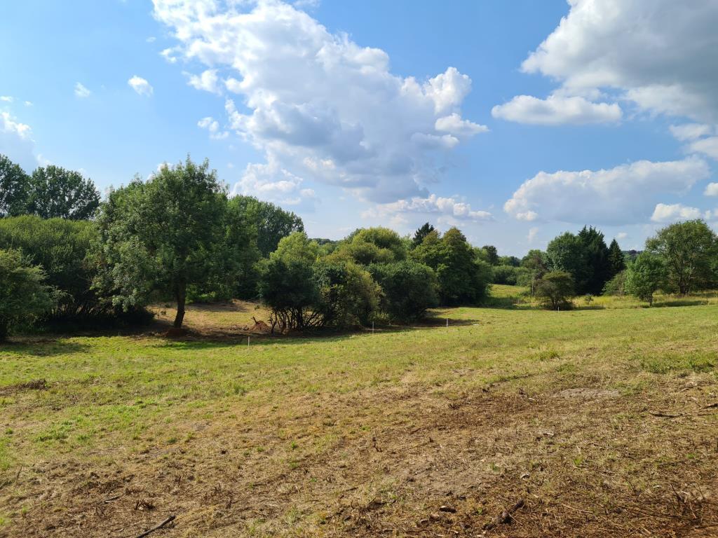 Land