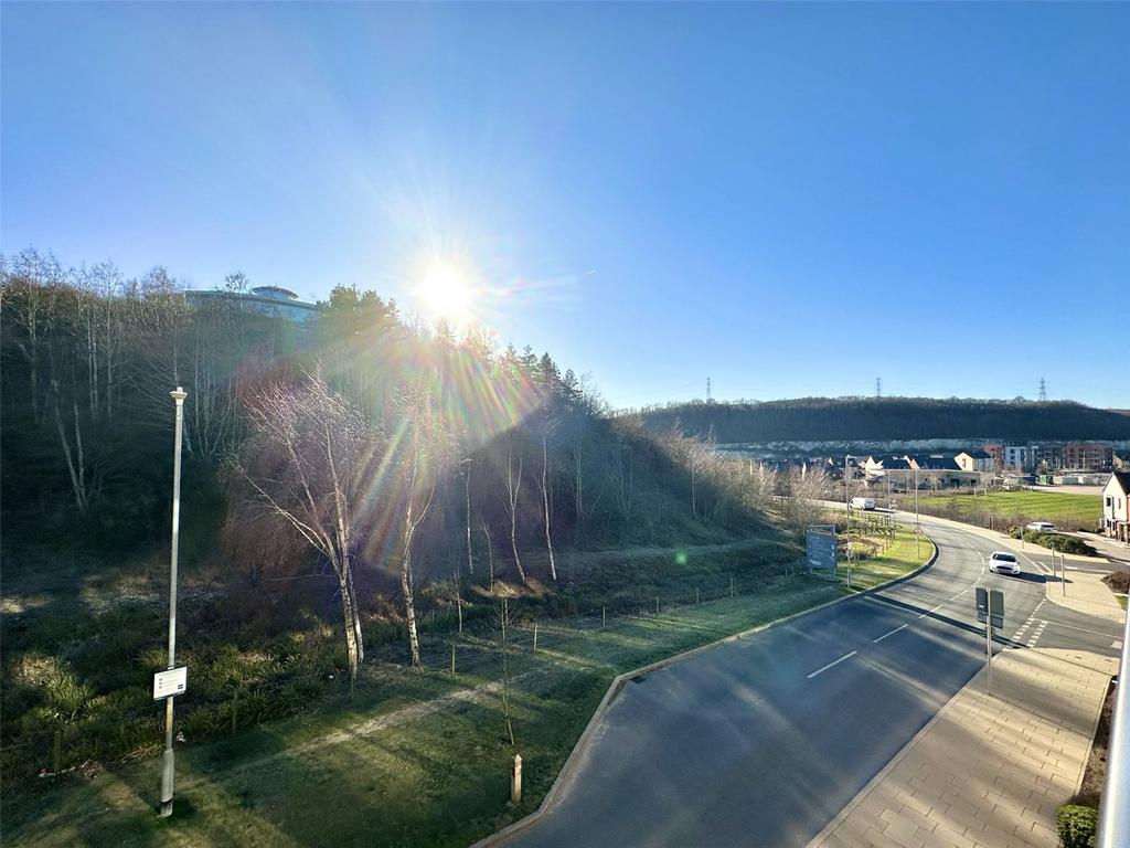 View