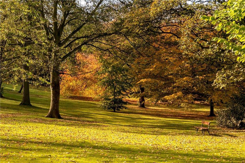 Queen Street Gardens