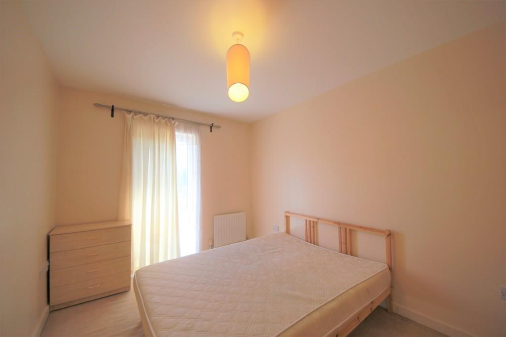 IMG 203 8 large