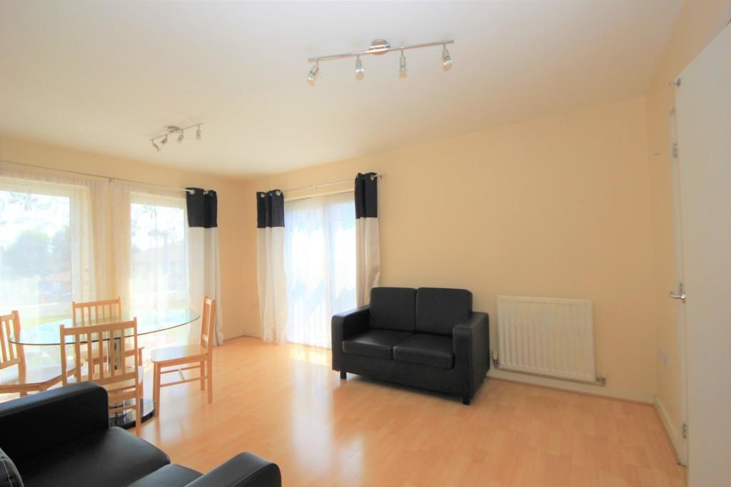 IMG 203 4 large