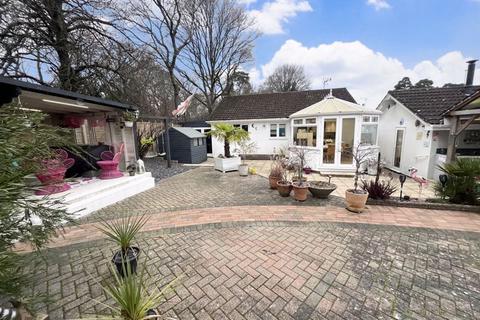 3 bedroom detached bungalow for sale, Grebe Close, Poole BH17