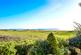 Additional image 17 of Barton Green, Barton on Sea, New Milton, Hampshire, BH25