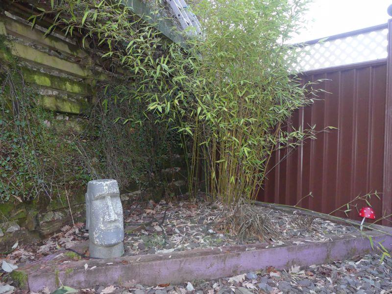 Photo 32