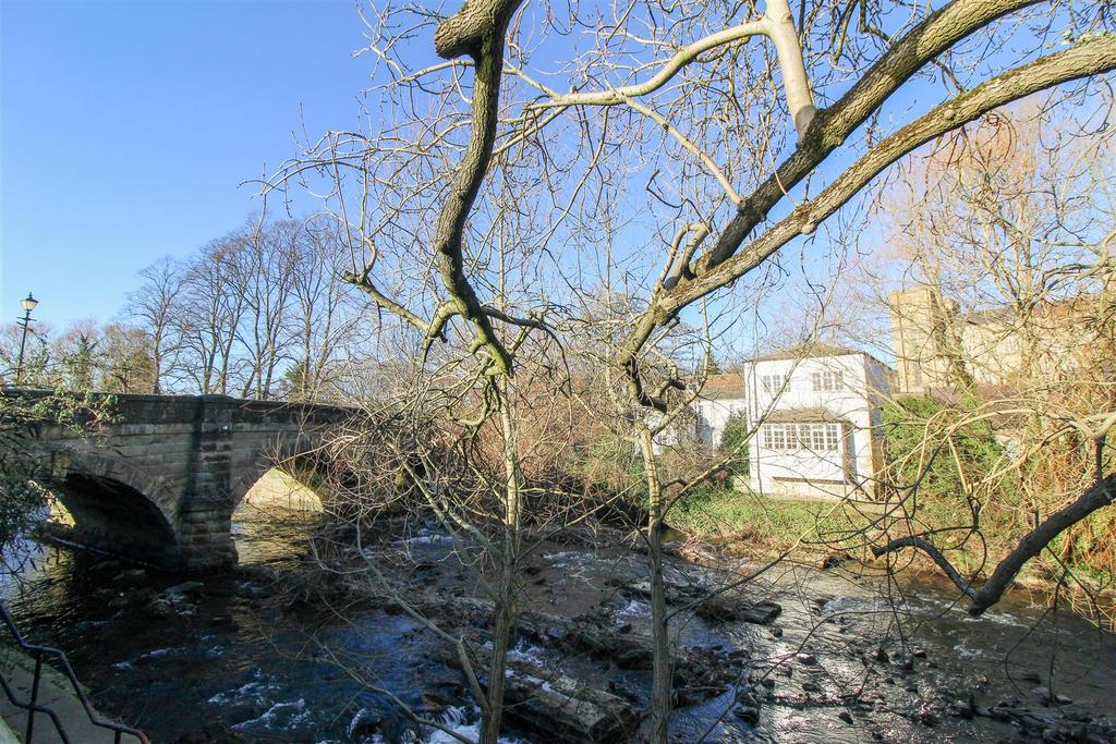 IMG 7344.jpg