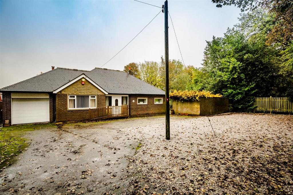 30a DLLHudds-301023-28.jpg