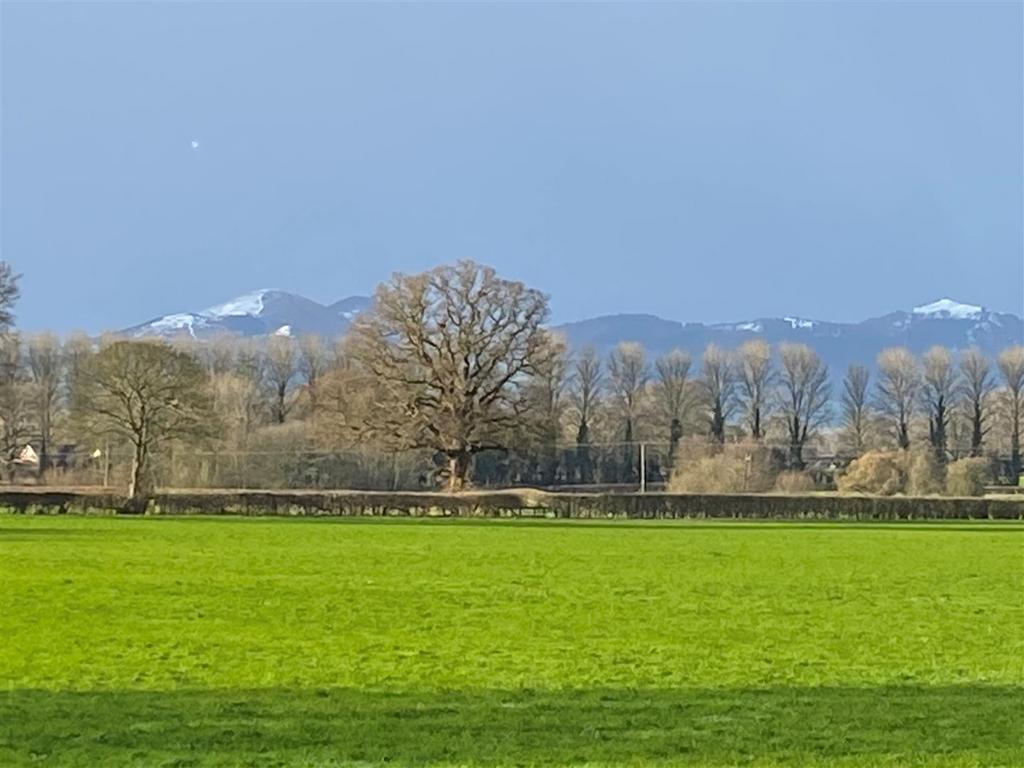 Photo 4.jpg