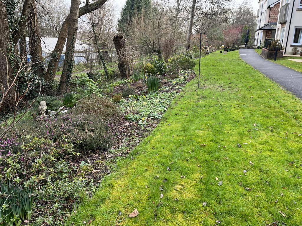 Grounds