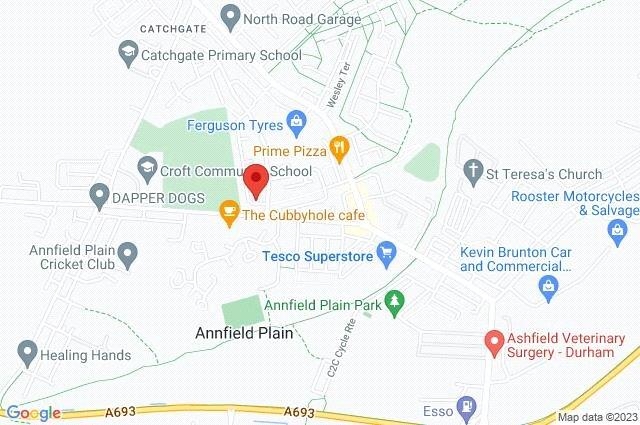 Google Maps Image