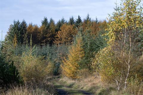 Land for sale, Dura Forest, Allanton, North Lanarkshire, ML2